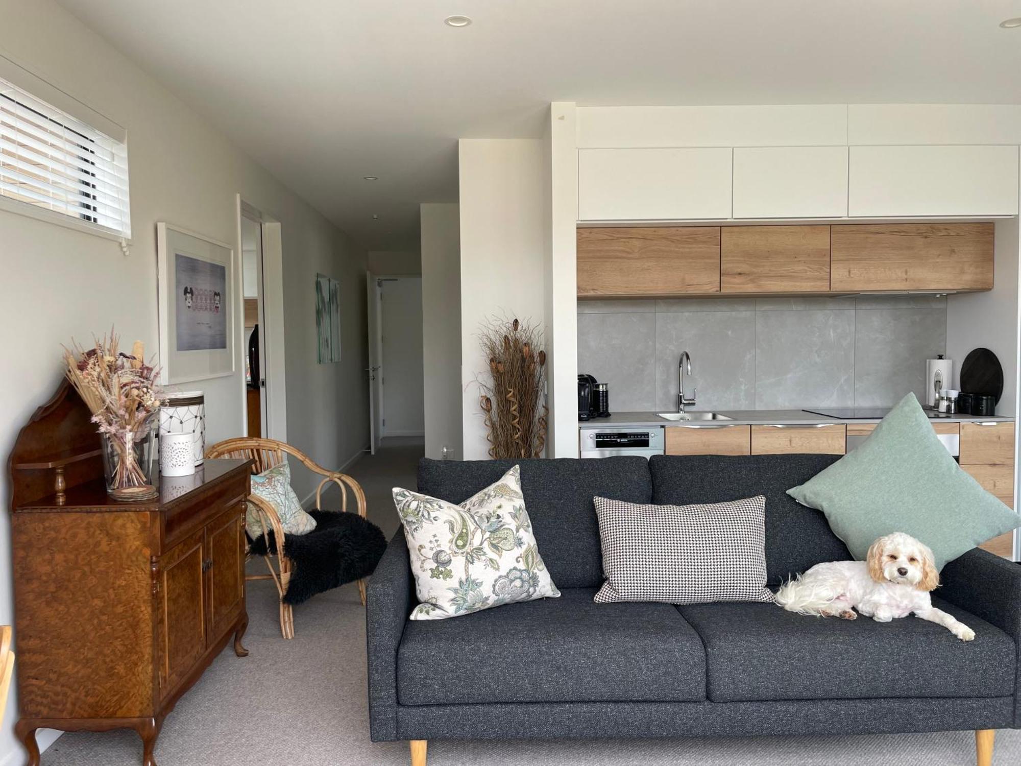 Lake Views - New Apartment With Room To Relax Wanaka Exterior photo